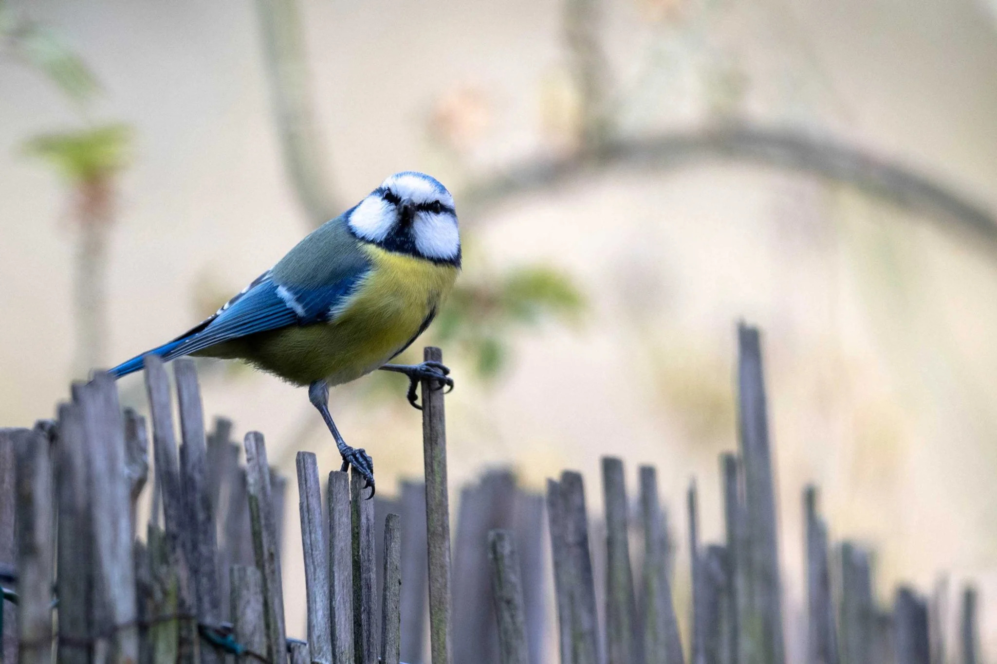 La Tournée du Climat et de la Biodiversité passe par Lille