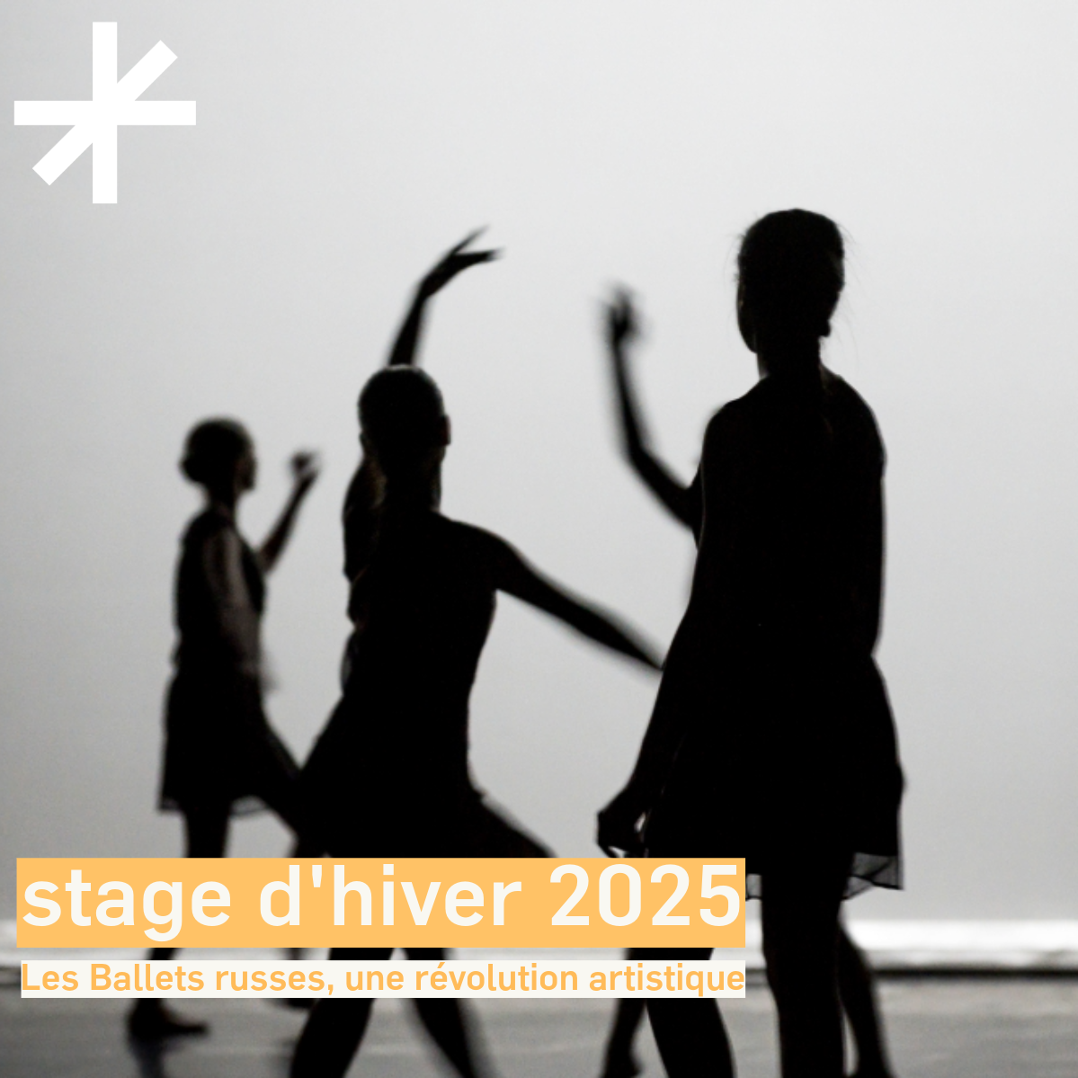 Stage d’hiver 2025 de l’École du Ballet du Nord