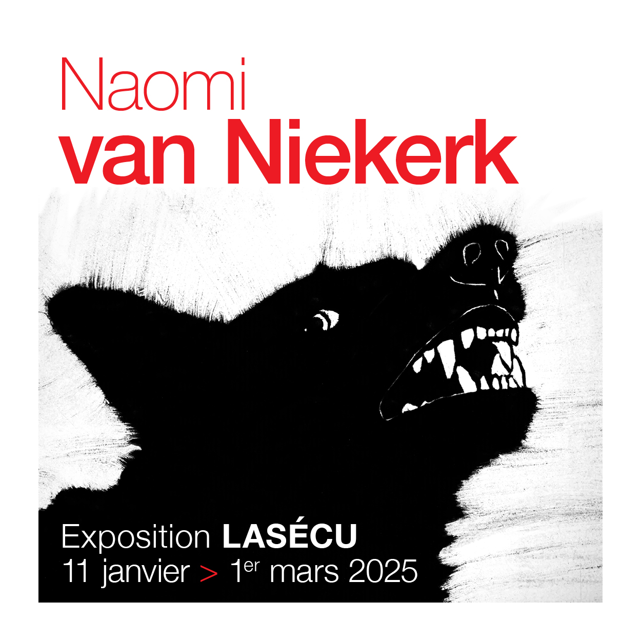 Naomi Van Niekerk : vernissage et exposition