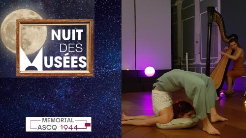 Nuit des musées – Spectacle « vibration » duo harpe et contorsion