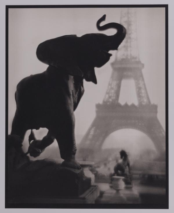 Le Lillois Pierre Dubreuil et ses tableaux photographiques au Palais des Beaux-Arts