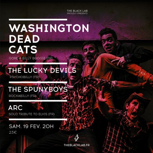 Washington Dead Cats + The Lucky Devils + The Spunyboys + Arc