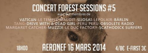 Forest Sessions #5