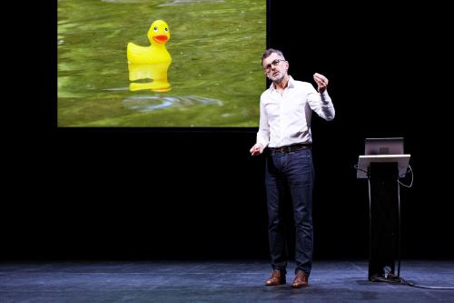 À la recherche des canards perdus par Frédéric Ferrer