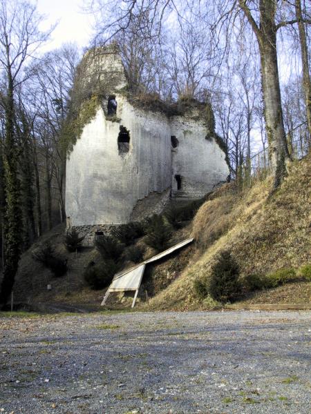 Château de Fressin (Le)